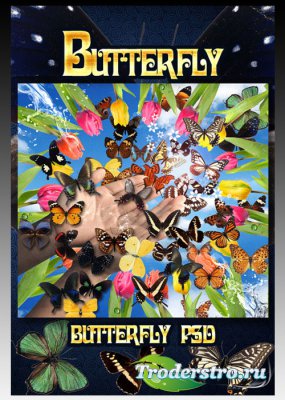 PSD -  Butterfly -  