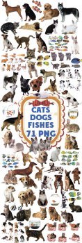 Животные и рыбы в PNG