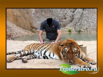 Мужской фото шаблон - Рядом с тигром