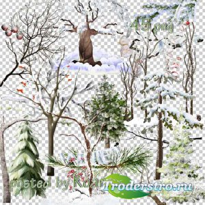 Клипарт на прозрачном фоне - Зимние деревья и ветки