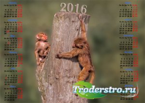  На 2016 год календарь - Две обезьянки на дереве 