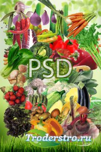 Сочное ассорти зелени и овощей в PSD