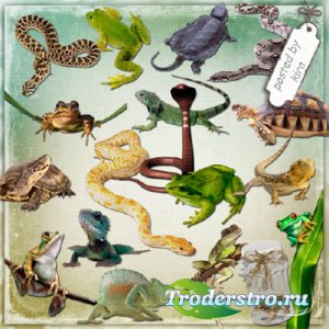 Клипарт - Рептилии и амфибии