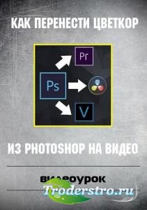     Photoshop  