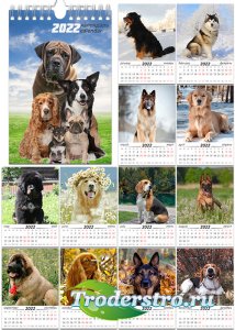 Перекидной календарь на пружине на 2022 год - Породы собак