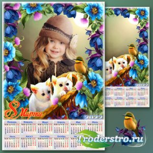 Рамка с календарём для фото к 8 Марта с милыми котятами - Гималайские голуб ...